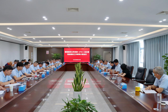 公司召開黨委（擴大）會議暨黨的建設(shè)工作領(lǐng)導(dǎo)小組會議